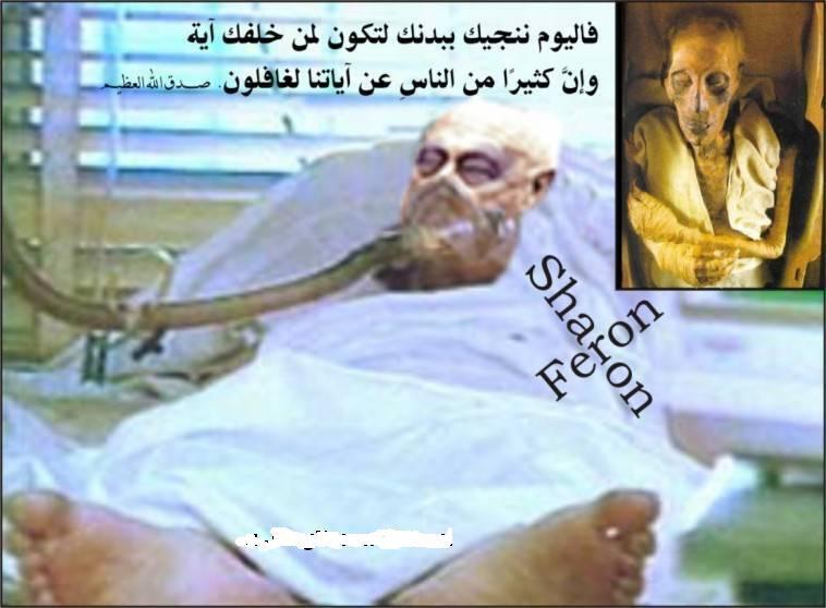 Azab Tuhan Benar-Benar Nyata ( Renungan Bagi Kita Semua )