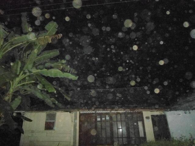 Fenomena ORBS di sekitar rumah ane