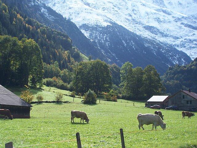 Interlaken, Kota Tujuan Wisata di Swiss