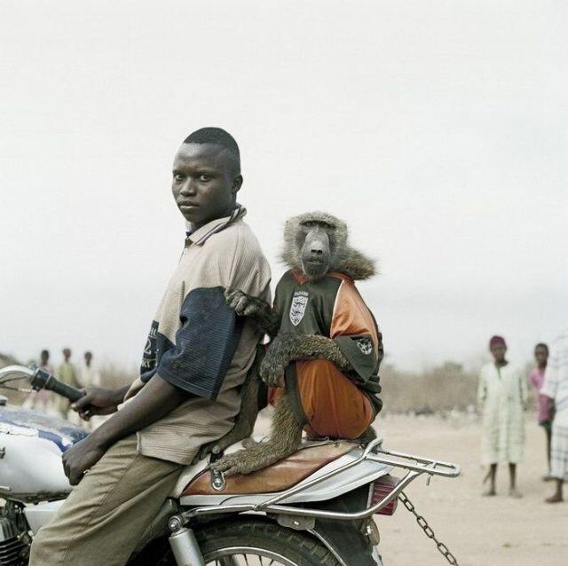 &#91;Horor&#93; Peliharaan orang-orang Afrika emang greget