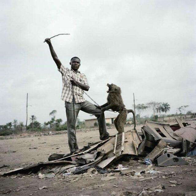 &#91;Horor&#93; Peliharaan orang-orang Afrika emang greget