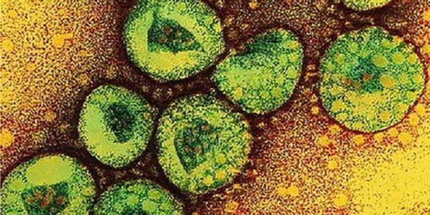 WASPADA Virus Corona !!! Indonesia