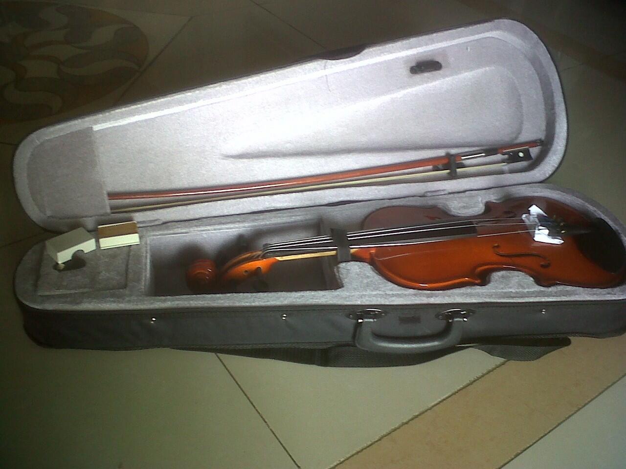BIOLA ELEKTRIK & AKUSTIK MURAH MERIAH! (+ nego halus)