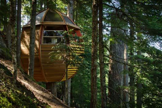 Joel Allen si Pembuat Hemloft (Rumah Pohon) di Hutan Whistler Kanada