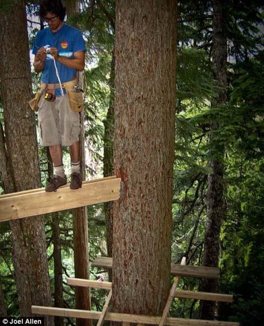 Joel Allen si Pembuat Hemloft (Rumah Pohon) di Hutan Whistler Kanada