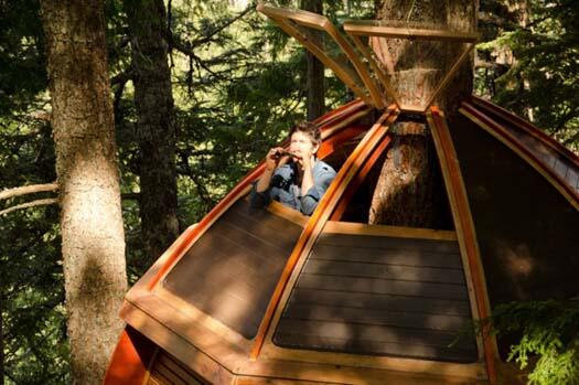 Joel Allen si Pembuat Hemloft (Rumah Pohon) di Hutan Whistler Kanada