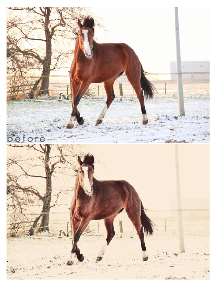 &#91;WTS&#93; Retouching &amp; Digital Imaging Service by. Studio green.rabbit