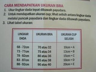 cara mengukur ukuran bra