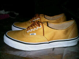 vans GSI