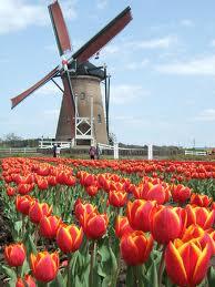 Wisata Musim Panas Di Amsterdam