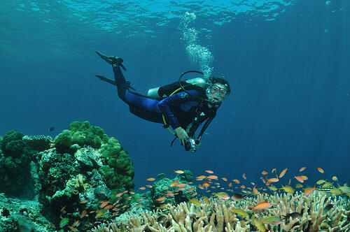 10 Tempat Diving terbaik Asia, 4 diantaranya ada di Indonesia