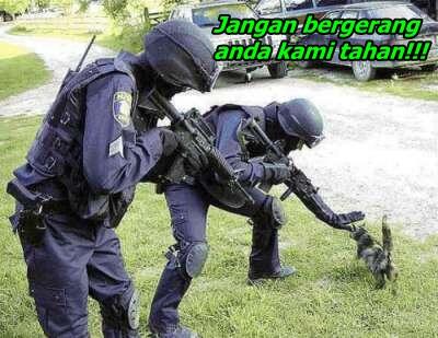 &#91;update&#93; tingkah laku kucing zaman sekarang Part II