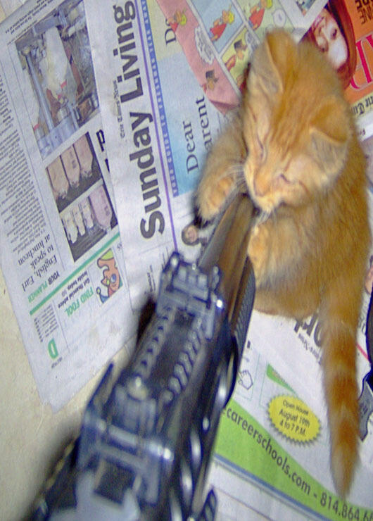 &#91;update&#93; tingkah laku kucing zaman sekarang Part II