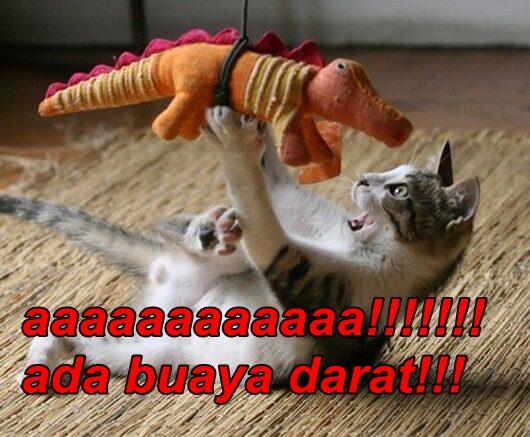 &#91;update&#93; tingkah laku kucing zaman sekarang Part II