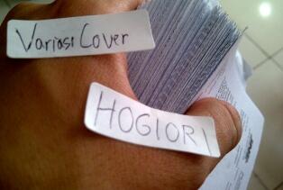 HOT !! Door Guard Special Edition Terbaru !!
