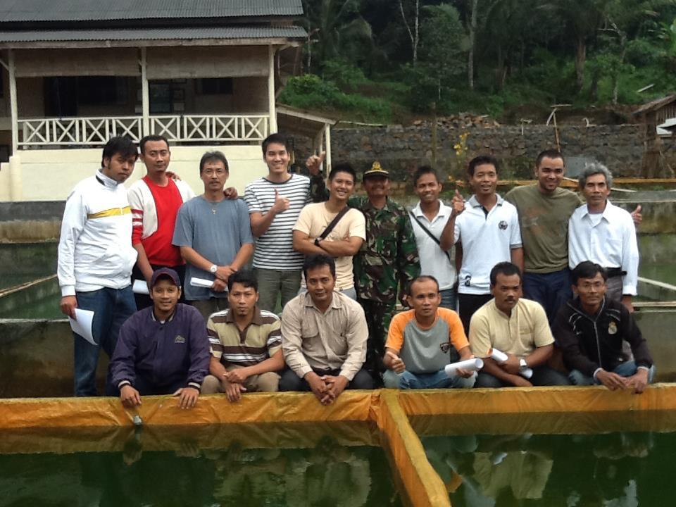 BIBIT LELE SANGKURIANG SEGALA UKURAN!! SIAP ANTAR SE-JABODETABEK