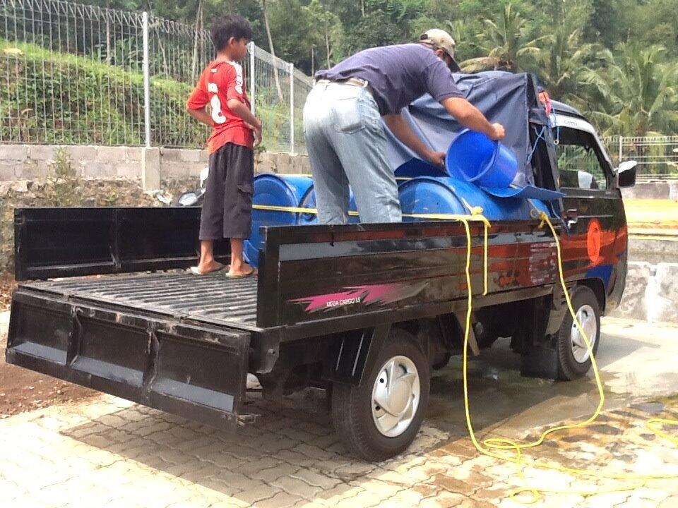 BIBIT LELE SANGKURIANG SEGALA UKURAN!! SIAP ANTAR SE-JABODETABEK