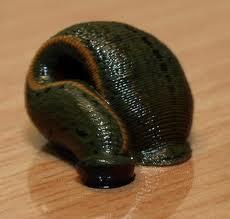 5 Hewan Berbahaya Tapi Bisa Menyembuhkan