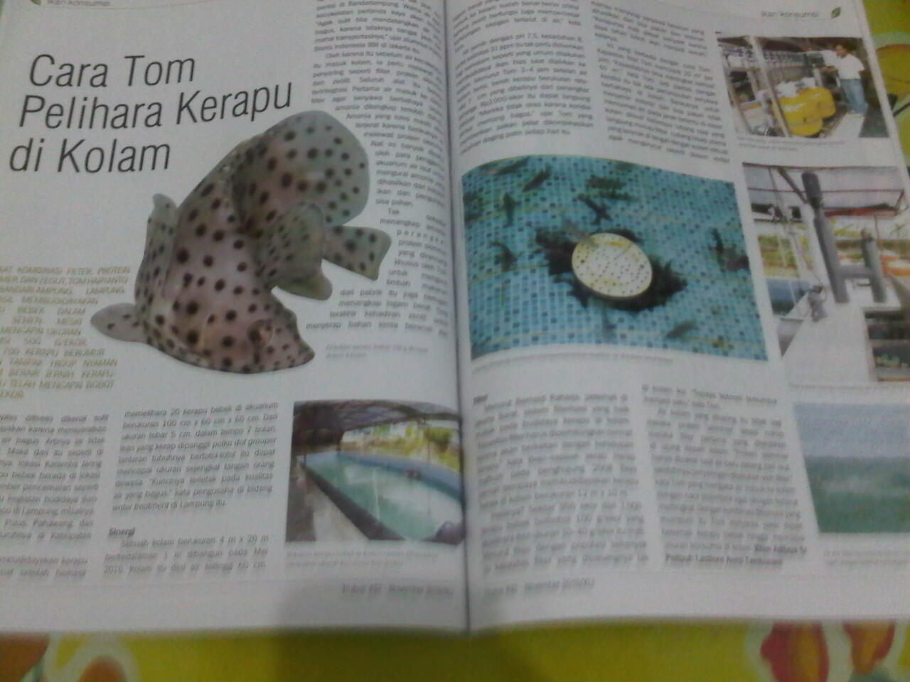 jual filter