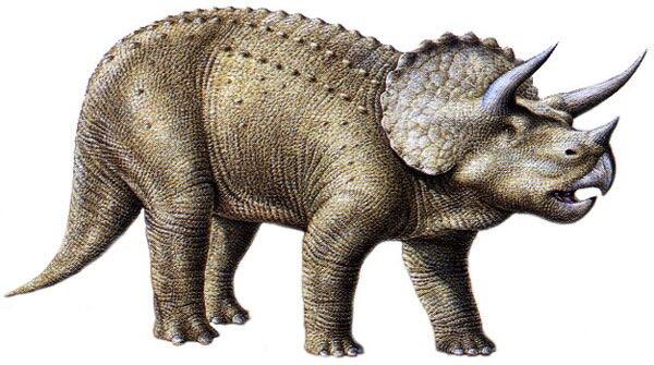 53 Gambar Semua Dinosaurus Paling Hist 53 Gambar Semua Dinosaurus Paling Hist