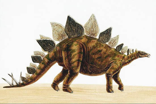 53 Gambar Semua Dinosaurus Paling Hist 53 Gambar Semua Dinosaurus Paling Hist