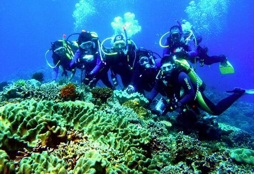 INDAHNYA KEHIDUPAN DIBAWAH LAUT !