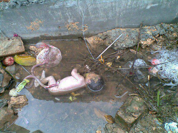 Bayi Dibuang di Kubangan Air
