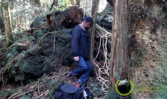 5 hutan paling angker dimuka bumi