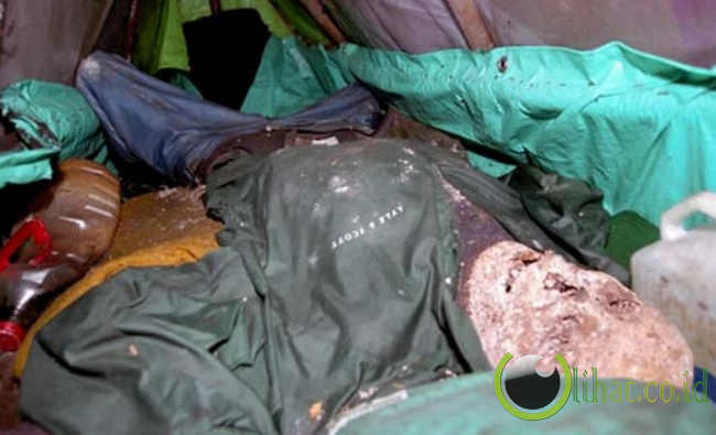 5 hutan paling angker dimuka bumi
