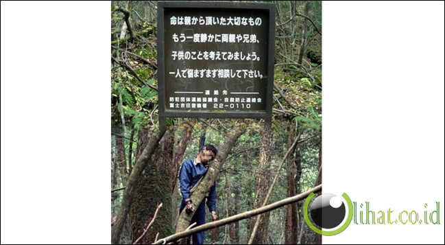 5 hutan paling angker dimuka bumi
