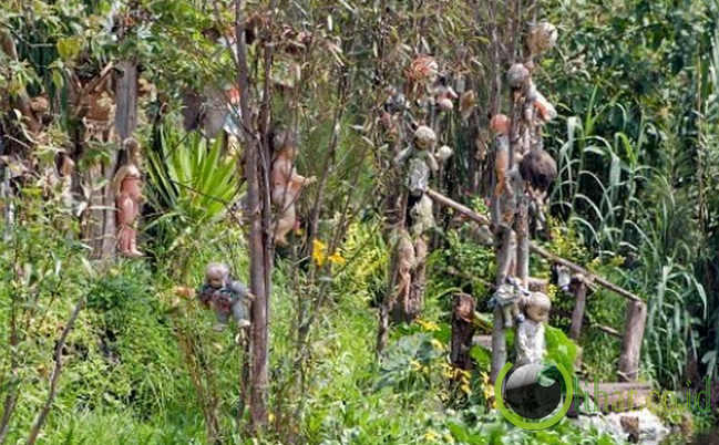 5 hutan paling angker dimuka bumi