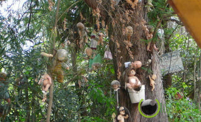 5 hutan paling angker dimuka bumi