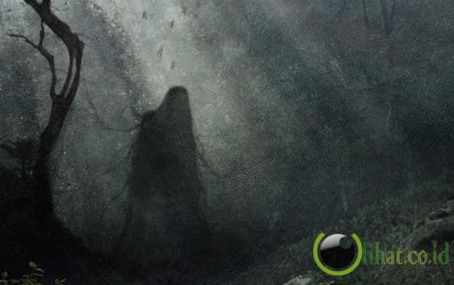 5 hutan paling angker dimuka bumi