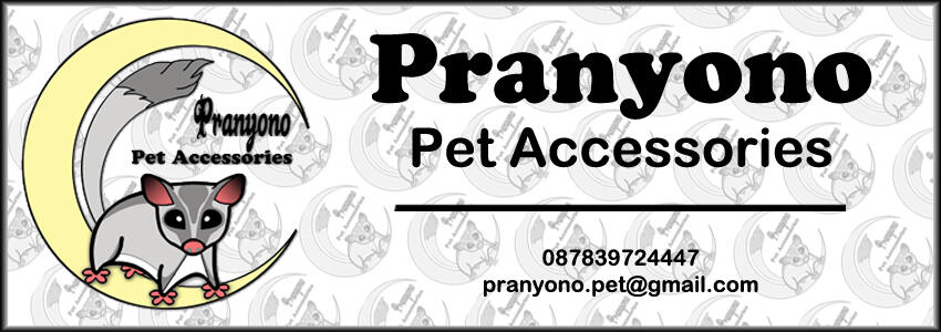 terjual ppa collar kalung dan harnes kucing musang kelinci terjual ppa collar kalung dan harnes kucing musang kelinci