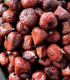 Buah - Buahan Langka Indonesia Yang Enak Rasanya