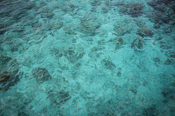 &#91;HOT&#93; Pantai dengan pasir pink ada di indonesia gan 