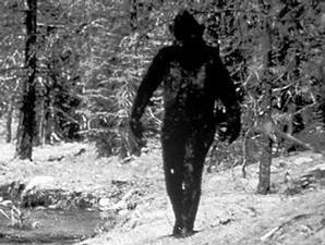 &#91;HOT NEWS&#93; Ternyata Big Foot adalah Makhluk Setengah Manusia