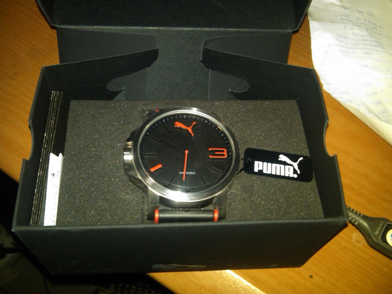 fossil puma