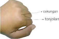 ** Cara menghitung jumlah hari dari kepalan tangan **