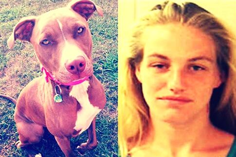 Wanita, 23, Didapati 'Berhubungan Intim' dengan Anjing Pit Bull