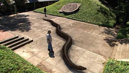 TITANOBOA : JENIS ULAR MONSTER