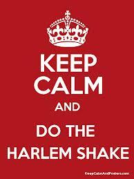 NEED PEOPLE TO DO THE BIGGEST HARLEM SHAKE ON INDONESIA!!!