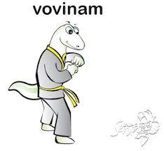 vovinam cabang beladiri beresiko tinggi