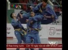 vovinam cabang beladiri beresiko tinggi