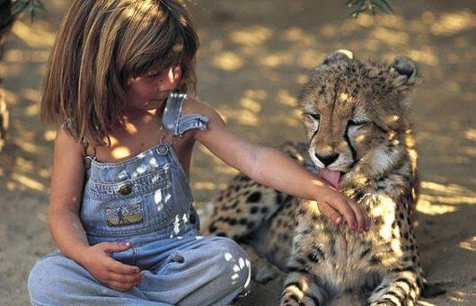 Tippi Degre, gadis kecil yang berhasil taklukkan keganasan rimba Afrika