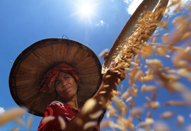 Foto-foto Lingkungan dari Fotografer terbaik 2013