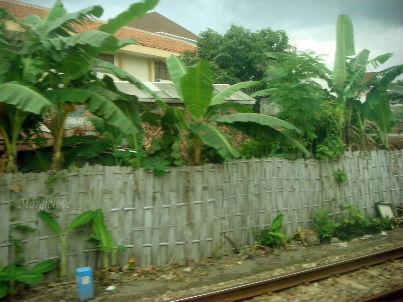 Jakarta - Solo by Train