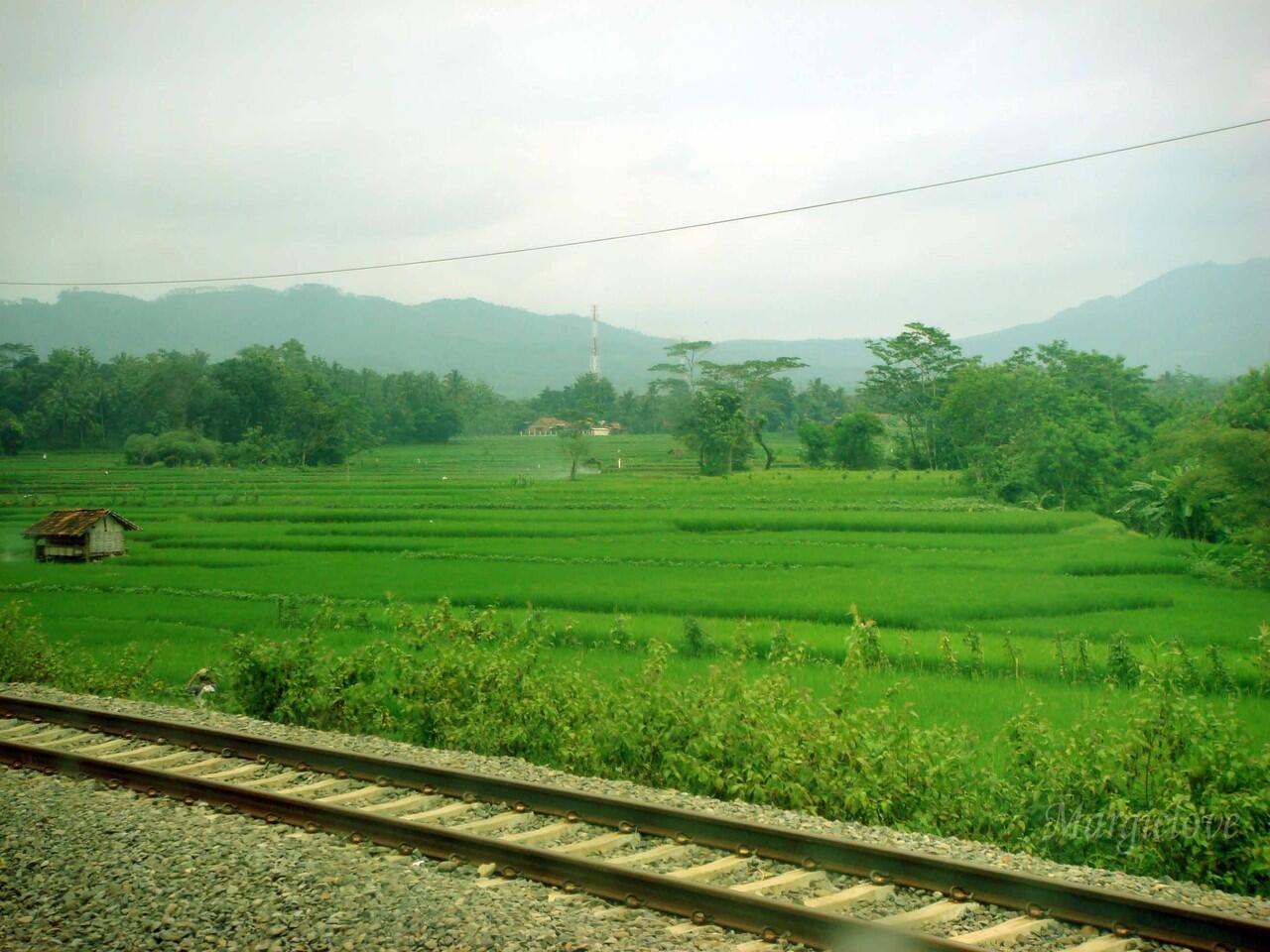 Jakarta - Solo by Train