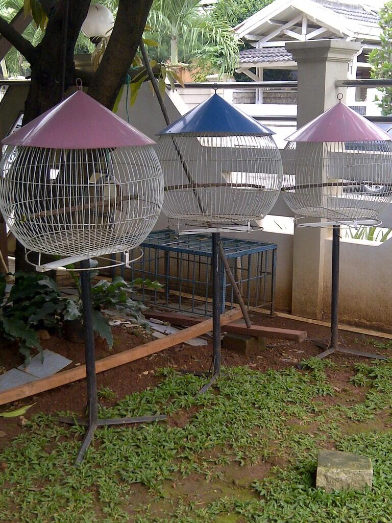 JUAL MURAH 3 (TIGA) KANDANG BURUNG BEO