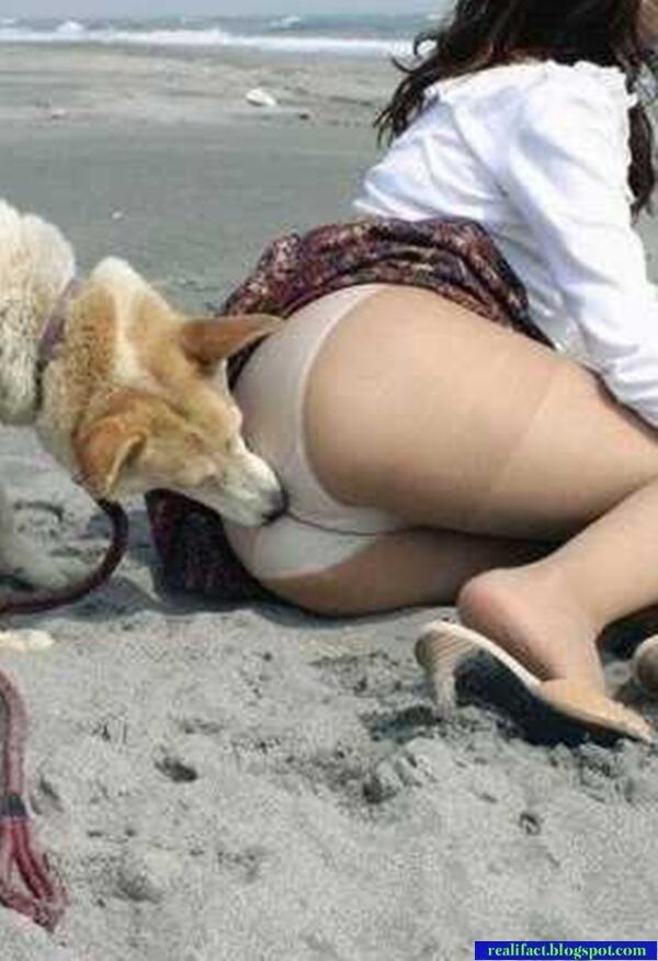 ANJING.... CABULLL....!!!!!